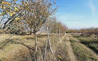 Teren intravilan de vanzare, Podei - Poză 1