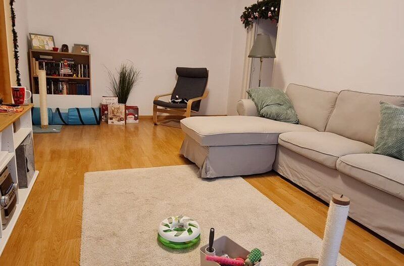 Apartament 2 camere zona 1 Decembrie 1918 - Sectia 13 Politie - Poză 1