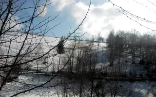 teren intravilan in zona Magura Bran - Poză 19