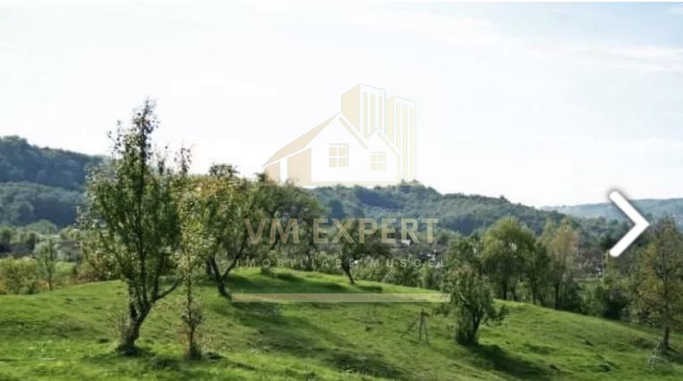 TEREN 2530 MP, INTRAVILAN, CAMPULUNG, 37000 EURO - Poză 3