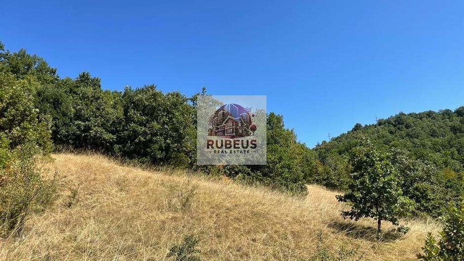 Teren intravilan 2.580 mp Eșelnița, acces DN57, ideal turism, locuinte - Poză 14