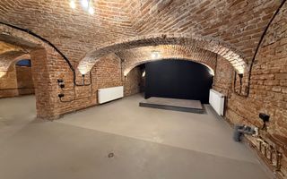 SAD - Spatiu comercial central de 160mp in Arad - ideal: crama, cafenea, magazin - Poză 6