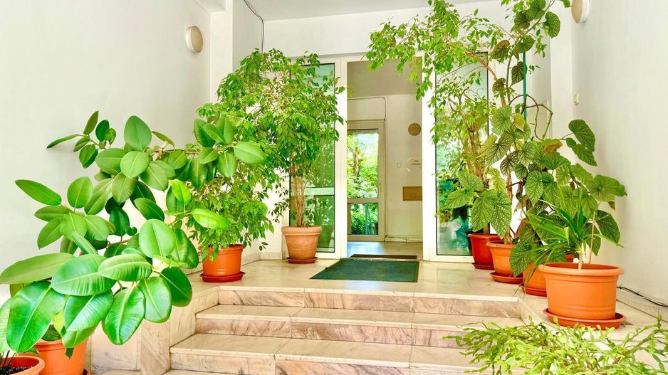 Hochparter de inchiriat | locuinta sau birouri | zona Aviatorilor - Poză 18