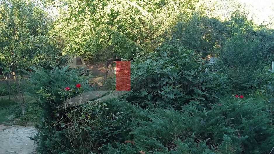 Vânzare teren intravilan Dărăști-Vlașca - Poză 7