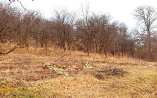 Casa cu teren generos | front 24.5 m - Poză 11