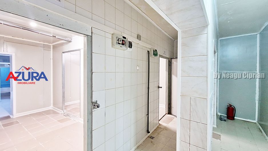 AZURA Imobiliare - Hala Fabrica de procesare Carne - Poză 9