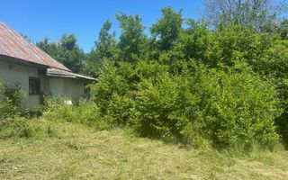 De Vanzare Gospodarie Cerbu - Poză 6