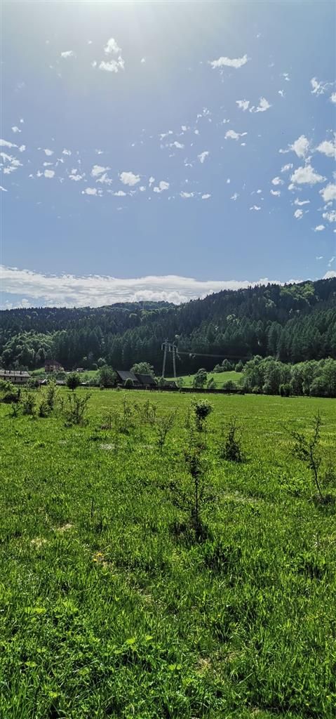Teren cu proiect casa, in vecinatatea padurii Bradet, Brasov - Poză 6