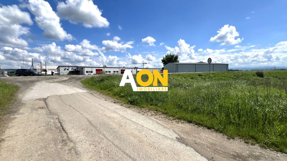 Teren Mixt Industrial de vanzare, 4660mp,  deschidere 41ml - Poză 2