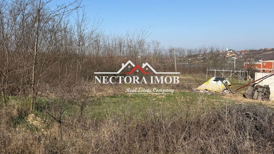 NECTORA IMOB-Teren Intravilan Lac Paleu, 886 mp, Front 27 ml,Utilitati - Poză 2