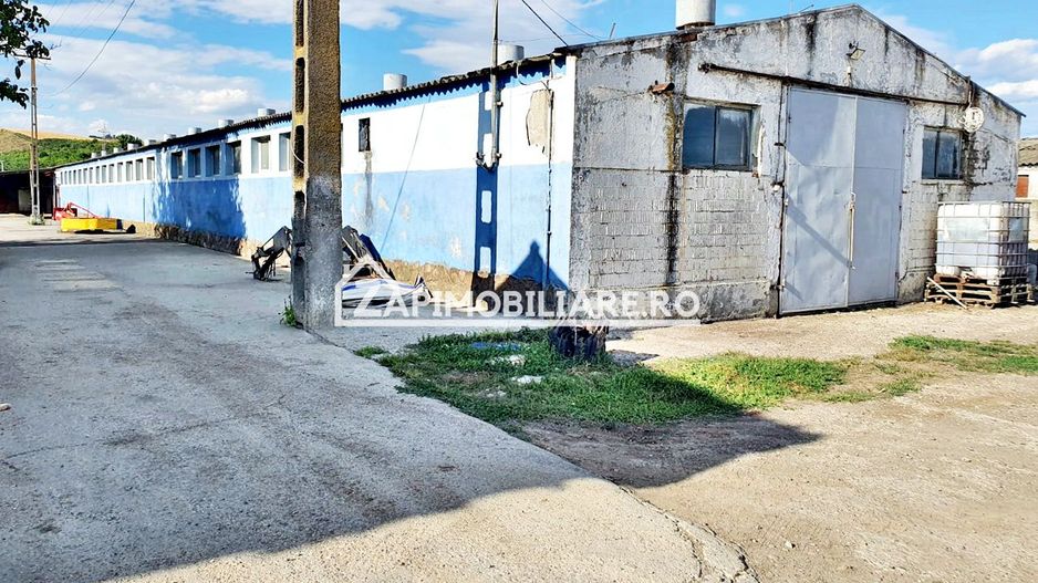 Hale cu suprafete utile de 832 mp si 578 mp. birouri 187 mp - Poză 2