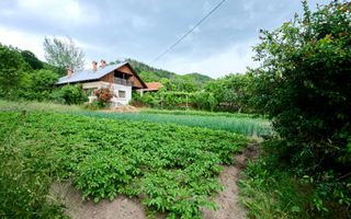 Casa cu teren generos - 4696 mp Apa Sarata - Campulung !! - Poză 5