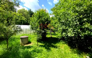 CASĂ INDIVIDUALĂ CU LIVADĂ | 2.195 MP TEREN | POIANA CÂMPINA - Poză 18