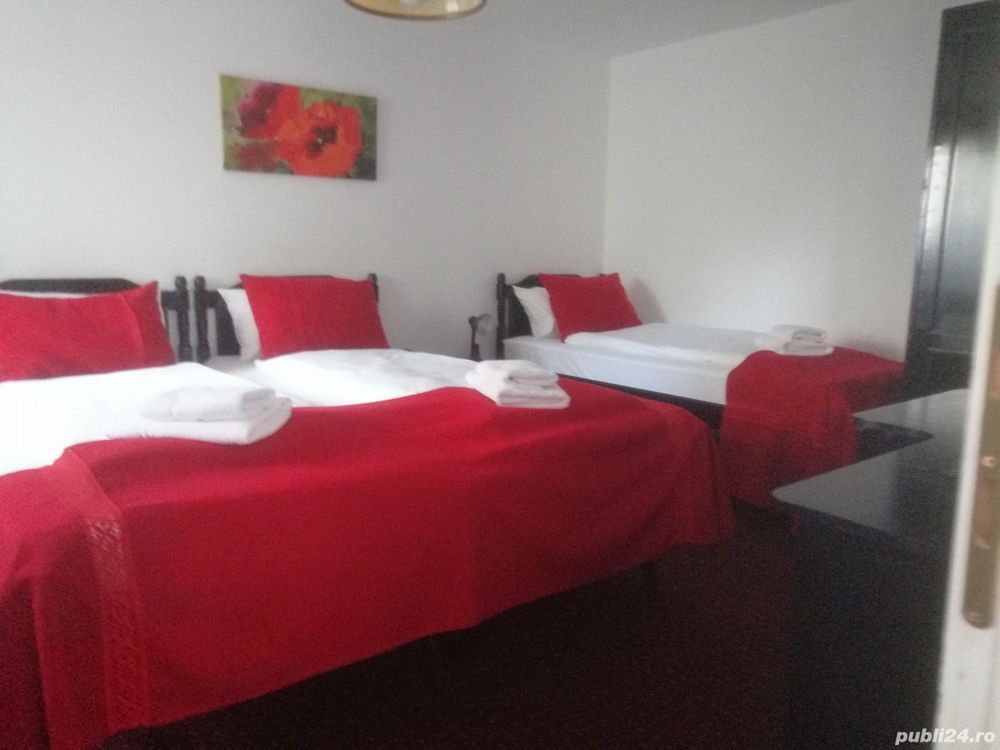 Proprietate de vanzare - Poză 10