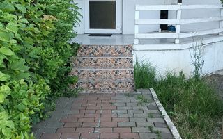 Spațiu Comercial Mic, Stradă Principală, Zona Nicolina, Aroneanu - Poză 1