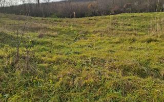 VAND Teren Golaiesti - Poză 3