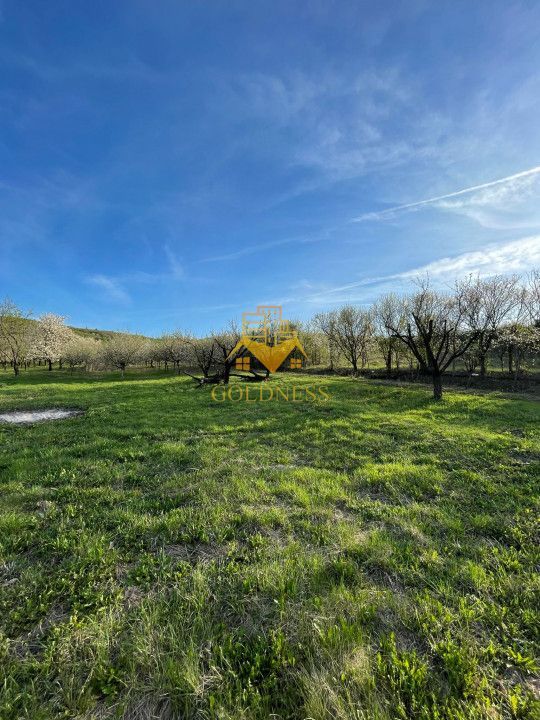 Tren Soporului Intravilan ,5500 MP Utilitati,  Oportunitate - Poză 1