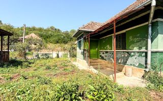 Casa individuala 2 camere,  60mp, 1280mp teren, zona linistita Visea - Poză 8