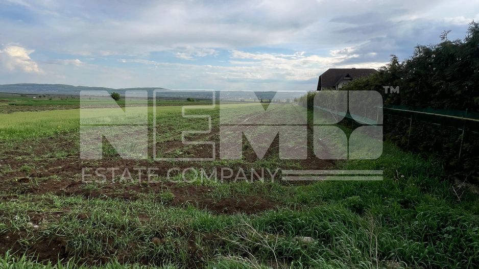 🌟 Teren de Vânzare 20 Ari | Salcea, Suceava | 💥 Preț: €30.000 - Poză 3