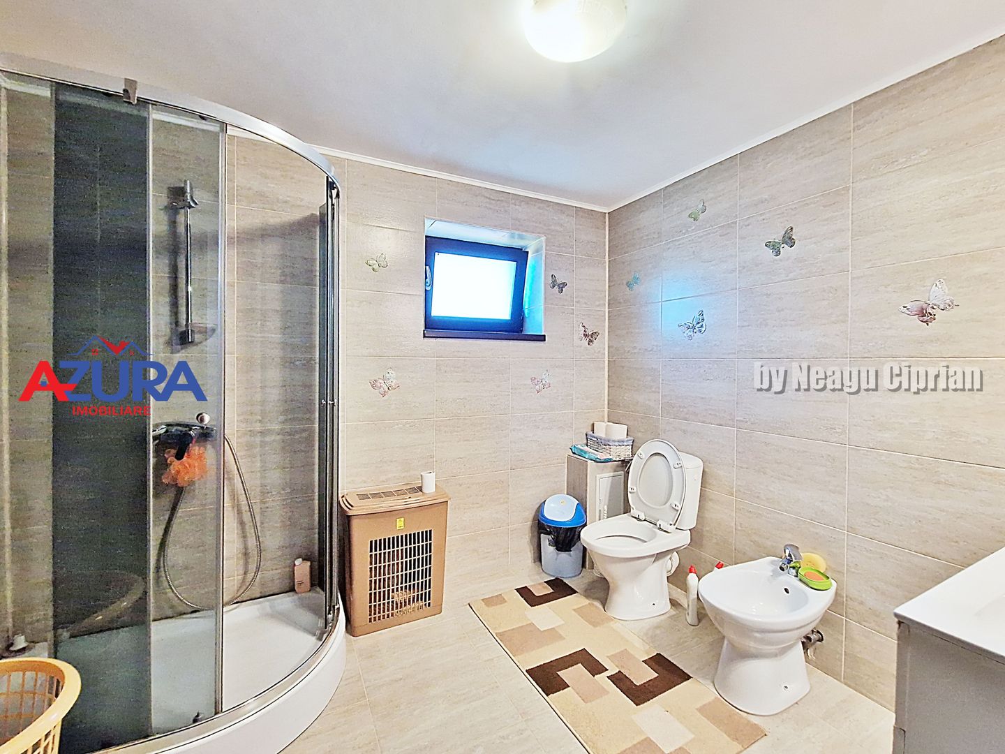 AZURA Imobiliare - 2 Case, 1 Camin - Smeura 250 m din DN zona Hintesti - Poză 20