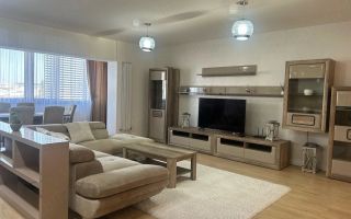 Apartament  Herastrau // Daniel Danielopolu - Poză 2