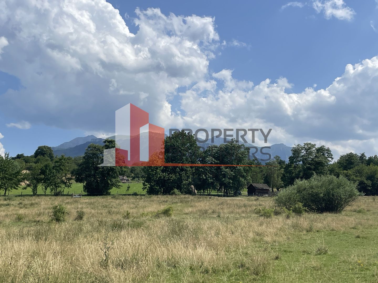 Teren de vanzare in  Tohanu Nou-Sohodol 6200 mp - Poză 1