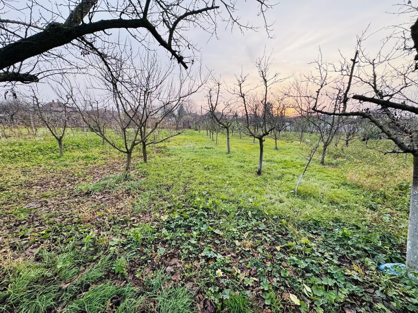 Casa Diosig + Cinematograf si teren - Poză 13