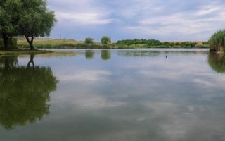 Oaza de relaxa de pe malul lacului Snagov. - Poză 4