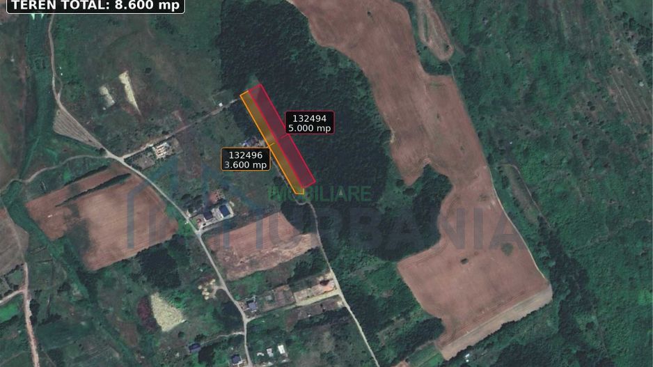 Teren intravilan 8.600 mp – Rediu, Iași, la marginea pădurii - Poză 2