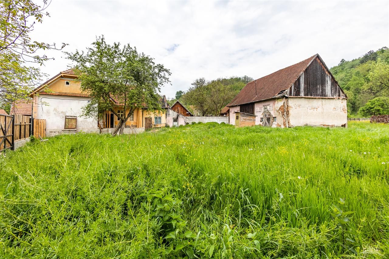 Casa traditionala + 8.500 mp teren, intravilan, Sinca Noua, Brasov - Poză 12