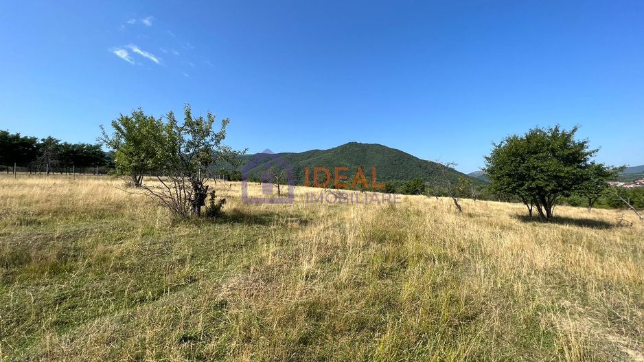 Teren intravilan cu PUZ in Cisnadie - Poză 4