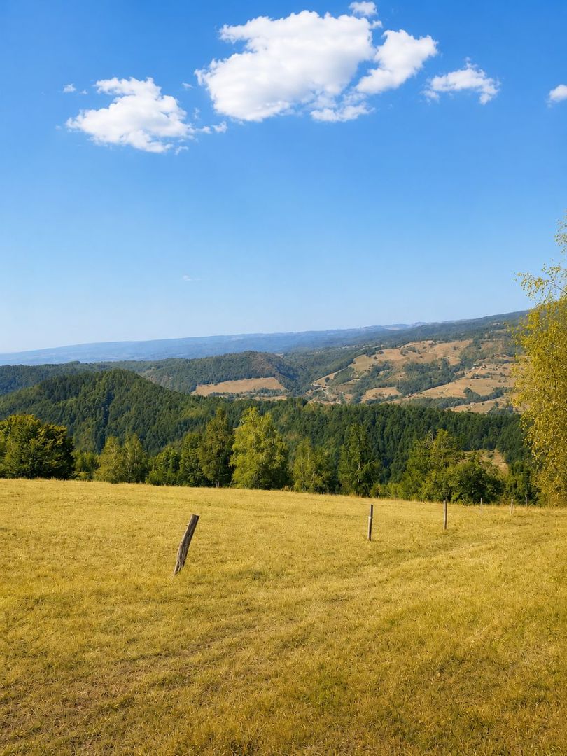 Casă de vacanță Bulz - Poză 6
