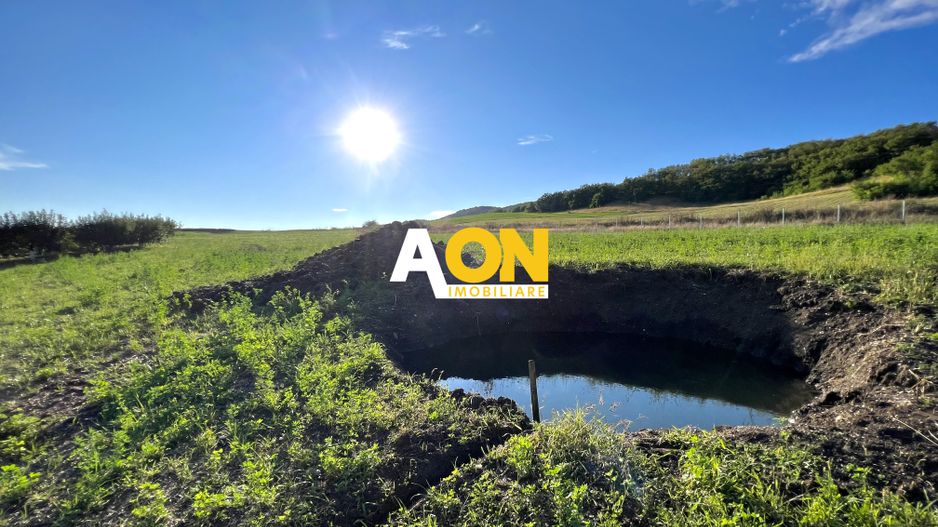 Ferma de vanzare cu 550MP utili si 27.500MP teren la asfalt - Poză 18