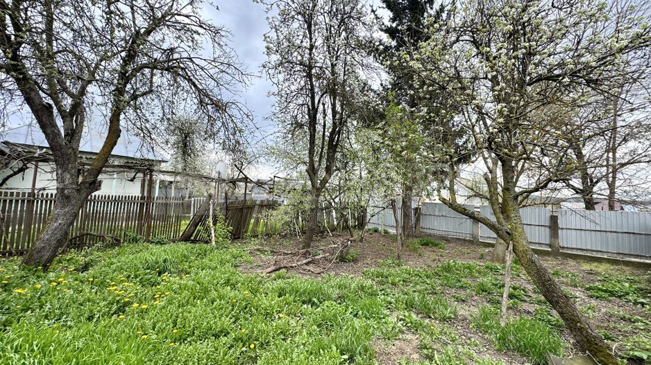 Casa 3 camere+anexe, teren 2400 mp, Damienesti Bacău - Poză 3