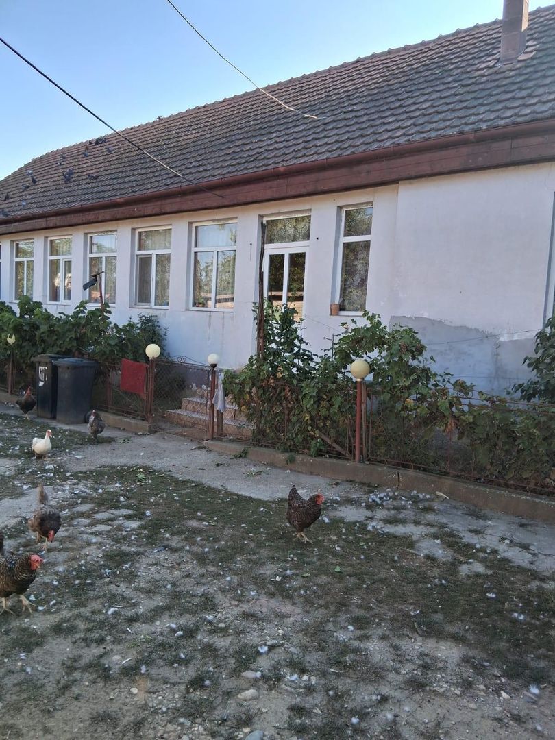 Casa solida in Cebza - Poză 4