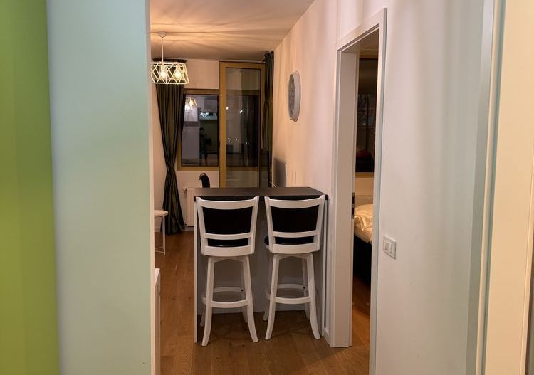 Apartament cu două camere – Aviatiei Park, zona Herăstrău - Poză 7