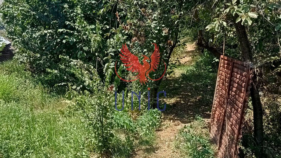 Teren 980 mp, 2 deschiderizona Drumul Muntenilor pret excelent - Poză 11