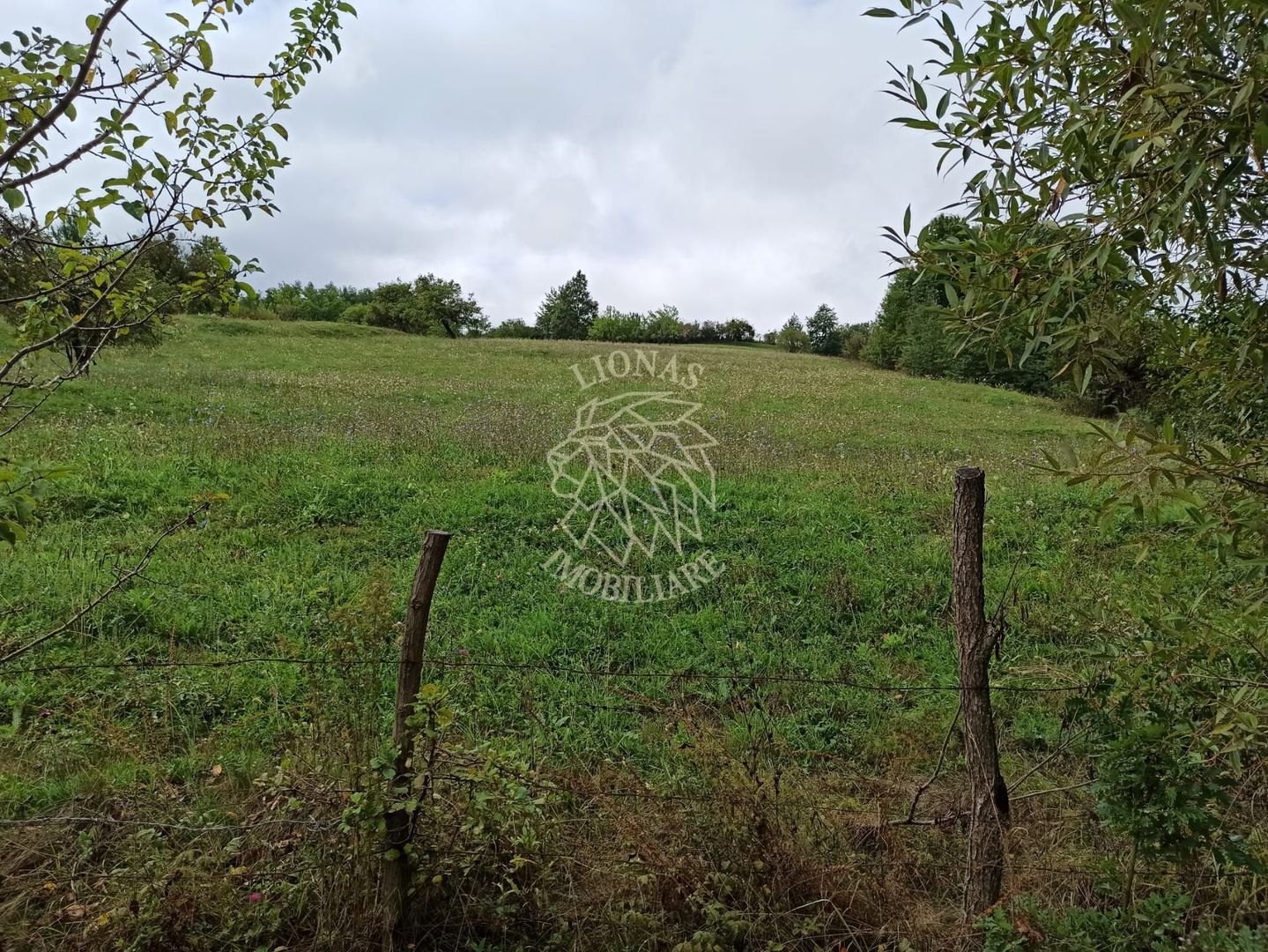 Teren intravilan 12600 mp-utilitati-ideal case, investitie-Livezile - Poză 3