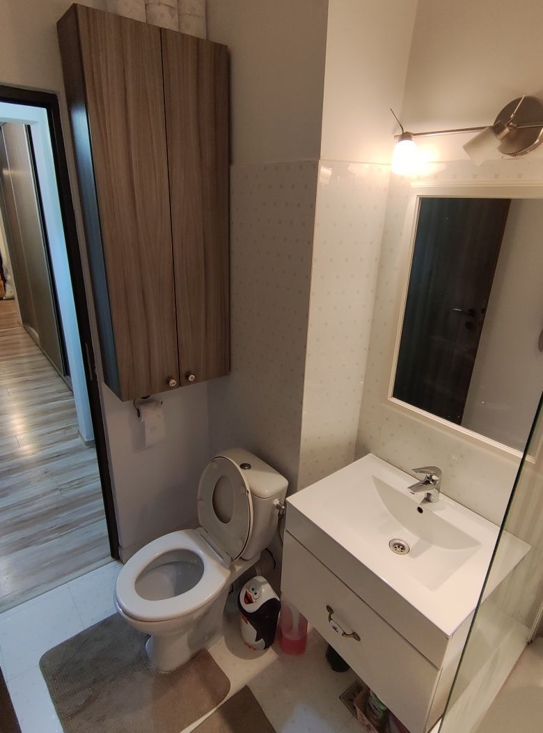 Închiriere Apartament 2 camere decomandat bd. Cantemir - Poză 7