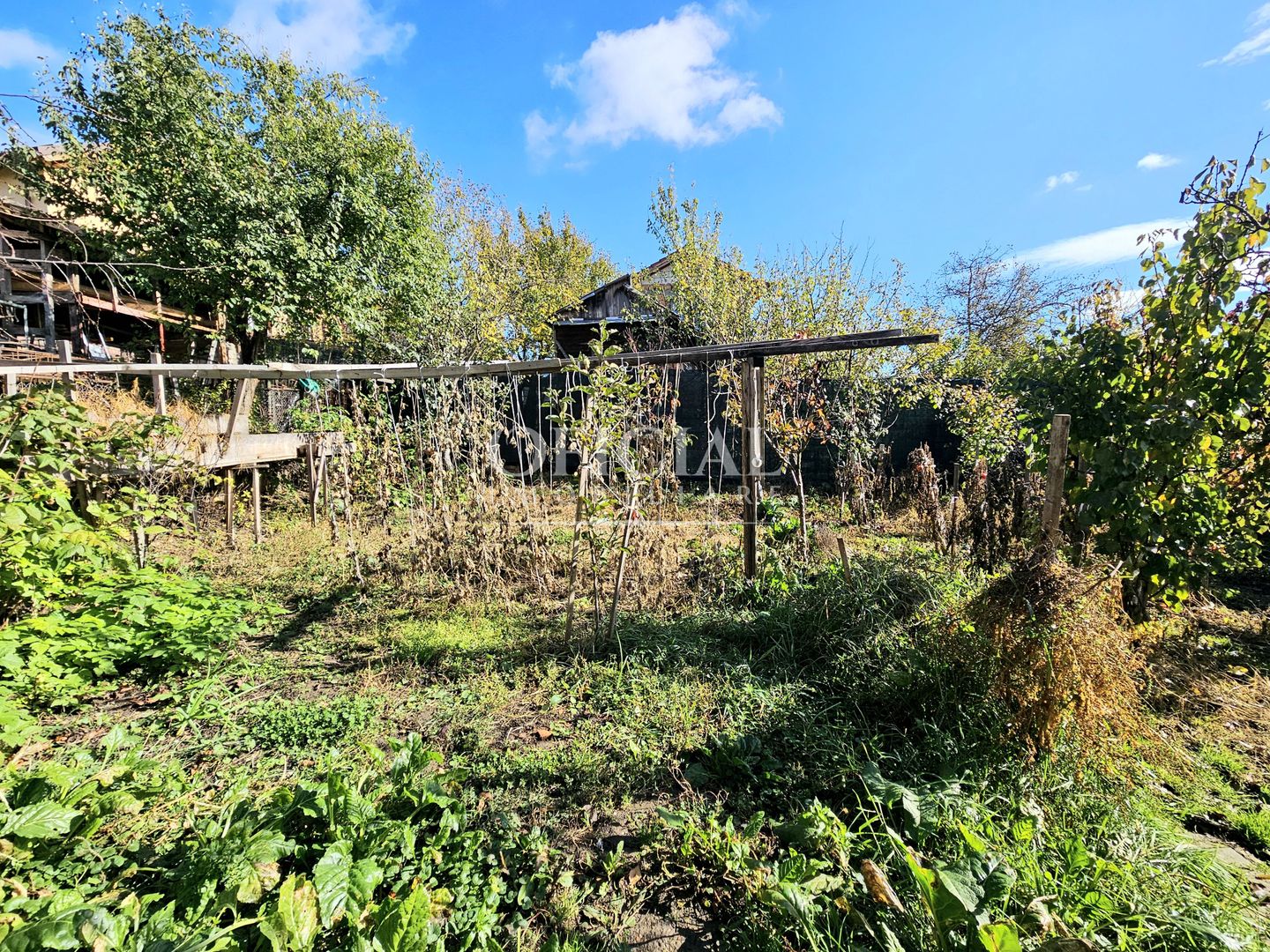 Casa individuala | 3 Camere | Teren 477 mp | Cartier Dambul Rotund! - Poză 2