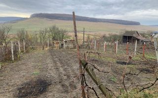 Casa de vanzare, Exclusivitate - Poză 4