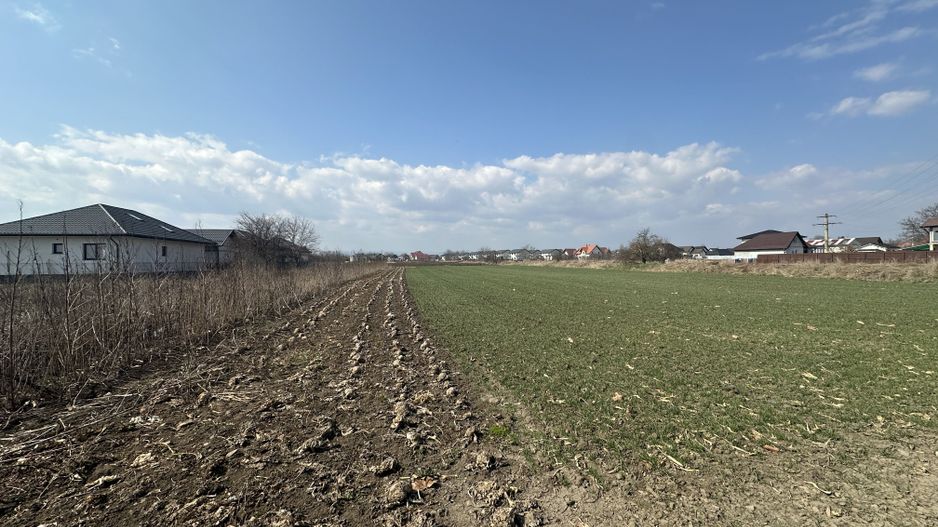 Teren intravilan 20 ari | Rădăuți | Front stradal 19.49 m - Poză 2