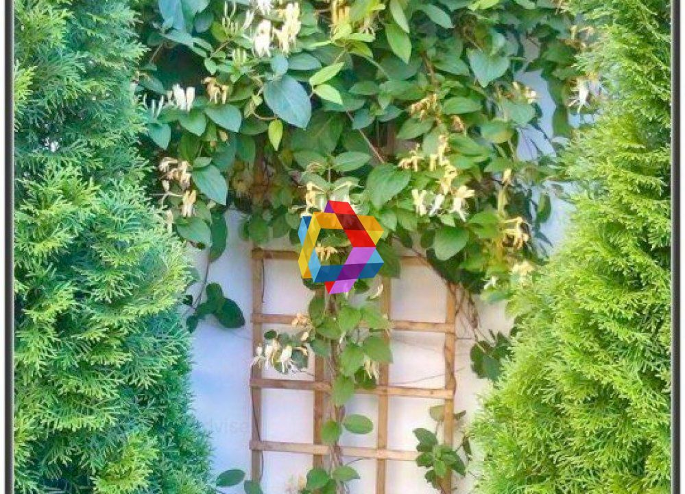 Casa Restaurant cu gradina - 250 mp - Poză 15