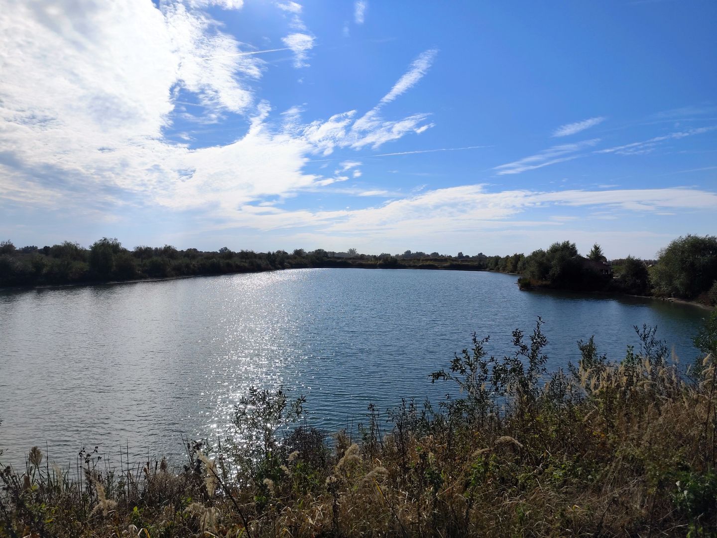 Balta de Pescuit | Cabana din Busteni | Teren 6,37 ha | langa Oradea - Poză 15