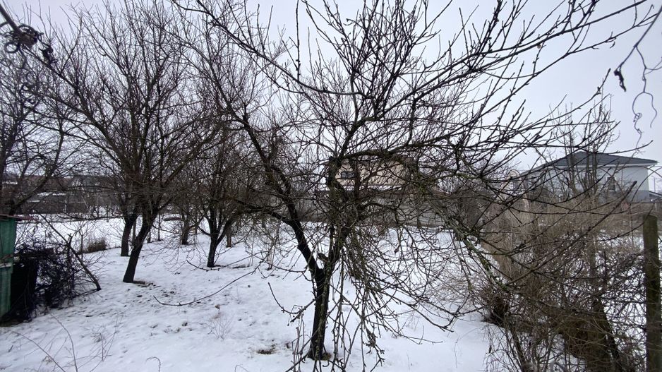 COMISION 0%, Casa 6 Camere, 162mp Utili, 809 mp Teren, Giroc - Poză 8