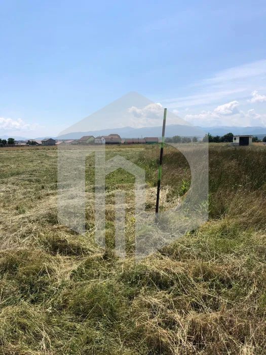 Teren de vanzare - Spate Metro - 1235mp - Intravilan - Poză 5