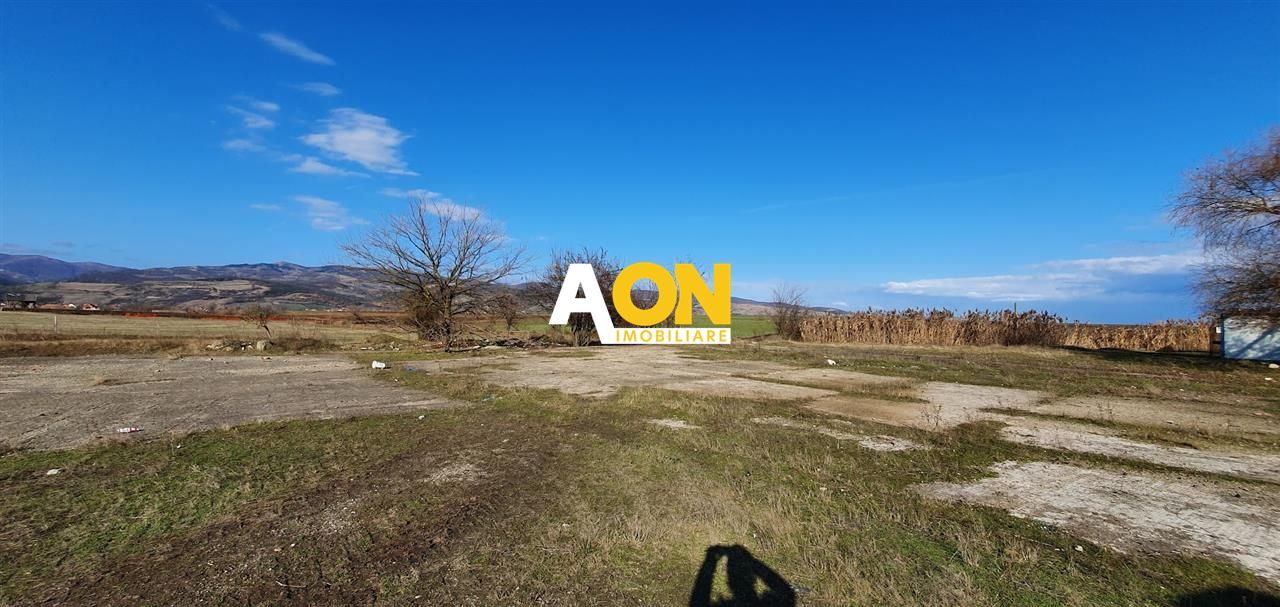 Teren industrial 44.200 mp, Vințu de Jos, Oportunitate de investitie - Poză 4