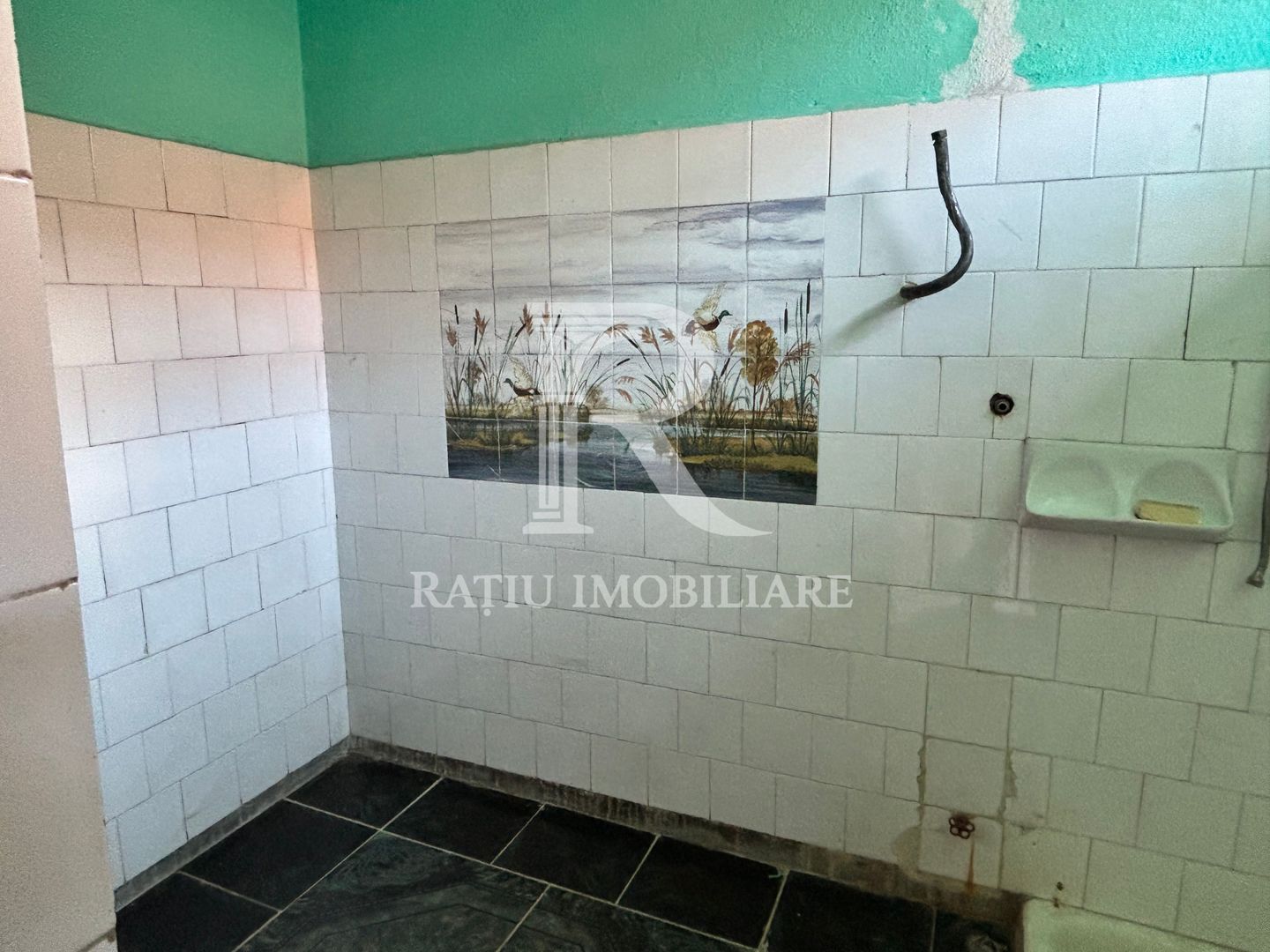 Casă cu etaj în Salonta | 996 mp | Grădină & livadă - Poză 21