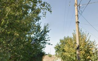 Teren Tancabesti intravilan iesire la lac Snagov - Poză 4