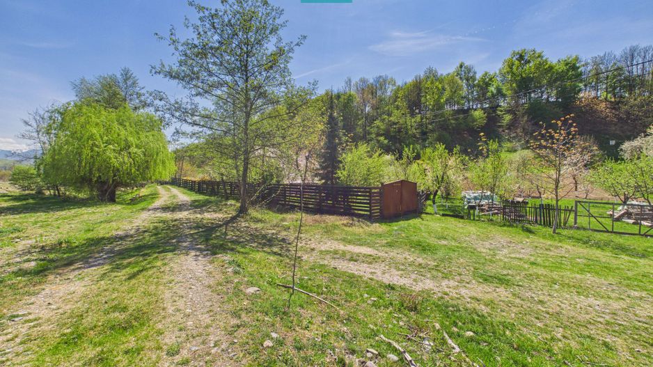 Casă Câmpani, 8000 mp teren, la poalele Apusenilor - Poză 14